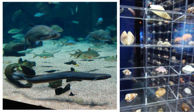03_ozeaneum.jpg