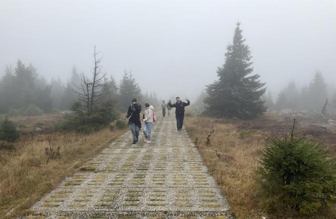 img_2894.jpg
