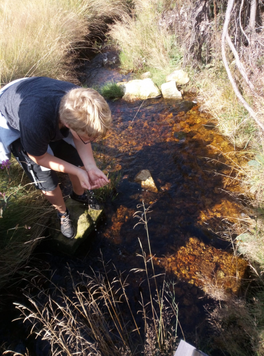 03_frisches_wasser.jpg 03_frisches_wasser.jpg