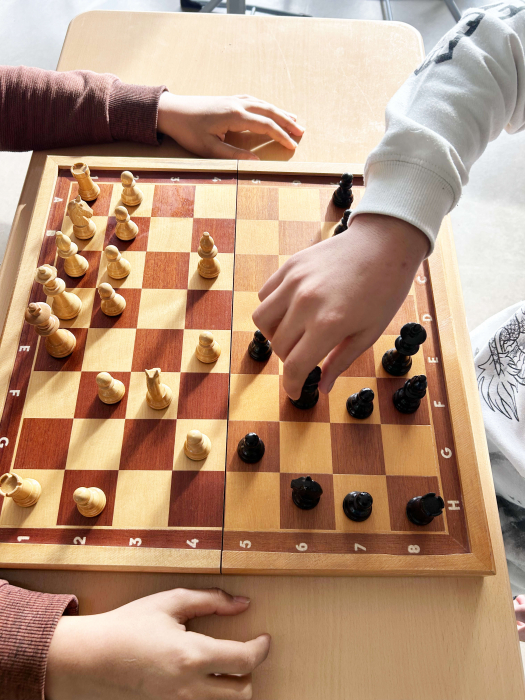 schach_ag_1.jpg